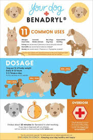 How Much Benadryl For A Dog Benadryl Is Widely Used Antihistaminic In Humans And Dogs Blocking The Biological Effects Dog Allergies Dog Benadryl Dog Care Tips