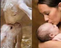 There is no difference between the first and second photo!