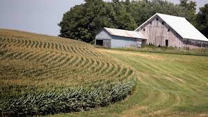As the trends grow, people see more innovations. Opinion There S No Looming Farm Crisis So There S No Reason To Even Consider More Subsidies Marketwatch