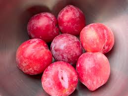 These are the predecessor of the pluot, with an intensely sweet and fruity flavor. Hybrid Fruit Trees How To Grow Pluots And Plumcots