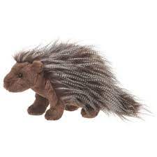 Pin On Spiney