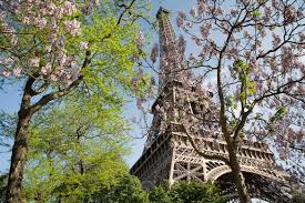 Maybe you would like to learn more about one of these? What To See Hear And Do While Renting An Apartment In Paris This Spring New York Habitat Blog
