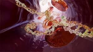 Progress toward a staphylococcus aureus vaccine. Infection And Vaccines Astrazeneca
