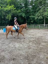 Lincoln Pony Pals added a new photo.