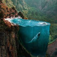 Dijital Sanat Huseyin Sahin In Goz Alici Surreal Dunyasi Resimler Sanatcilar Fotograf