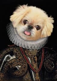Michaportraits Custom Pets Portraits Animaux En Costumes Portraits De Chiens Portrait Renaissance
