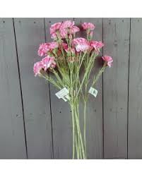 We did not find results for: Artificial Carnations Silk Carnation Flowers From 2 99 Permabloom