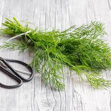Substitutes For Dill Weed And Dill Seed