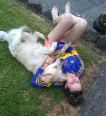 Where their residents ranged from snakes to spider monkeys. Pet Sitter In Plaza San Francisco Zaragoza Aragon Irish Doggy Sitting Petbacker