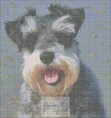 Information about cross stitch design floss: Schnauzer Dog Cross Stitch Chart Advanced Cross Stitch