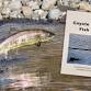 Acorn Circle 2025: Coyote and the Fish Trap at event image