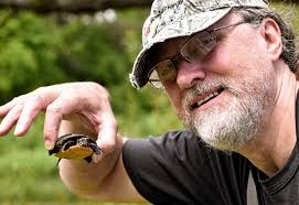 How many turtles are in this picture How many turtles ਸ਼ אא ת.