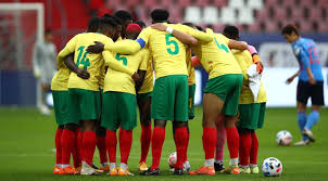 There are no matches for the afcon in march 2021. 3nfzi3zna0drvm
