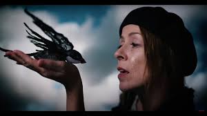 Swallow, Dear Swallow from Wendy McNeill's album First There Were Feathers