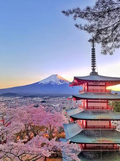 41 Things to know before visiting Japan for the first time: Etiquette and Cultural Guide — Helena Bradbury