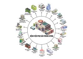 Thông tin này gây bất ngờ cho nhiều người, bởi lẽ, chúng ta vẫn thường nghe nói ăn những loài côn trùng như đáng quan tâm. Bá»nh Viá»n Vá» Tinh 8 NÄm VÆ°á»£t Kho KhÄn Hai Quáº£ Ngá»t