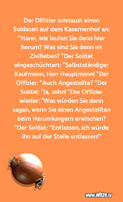 Der Offizier Schnauzt Einen Soldaten Auf Dem Lustige Witze Und Spruche Www Witze Tv
