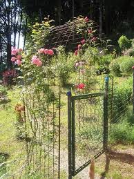 Pin Von Michaela Kempf Auf Garten Garten Baustahlmatten Rosenbogen