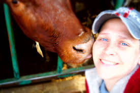 Grounded Confections at Scarborough Farmers' Market with plant-based  gluten-free chocolate