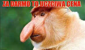 images?q=tbn:ANd9GcS3OgKdZ6TS-m4nA6ett7b