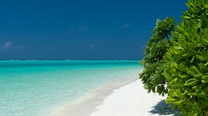 Choose from a curated selection of laptop wallpapers for your mobile and desktop screens. Turquoise Waters Maldives Ultra Hd Wallpapers Ultra High