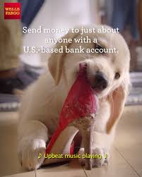 Puppy Trouble Need To Settle Up Send Money With Zelle Right From The Wells Fargo App Video Puppies Puppy Care Funny Gif