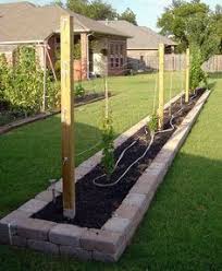 Grape Vine Trellis On Pinterest Grape Vines Grape Arbor And Trellis Sonstige Ideen Weinlaube Weintrauben Und Spalier