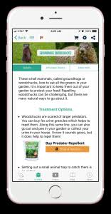 We did not find results for: How To Manage Groundhogs Woodchucks In Your Garden From Seed To Spoon Vegetable Garden Planner Mobile App