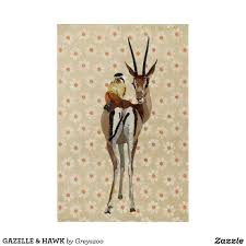It migrates during the wintertime to warmer regions. Gazelle Hawk Acrylic Print Zazzle Com Acrylic Prints Animals Artwork Acrylic Wall Art