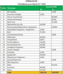 Trial Balance Examples Real Life Example Of Trial Balance In Accounting
