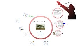 the serengeti plains by krystian walker on prezi