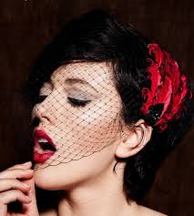 Black Birdcage Veil, Red and Black Feather Hair Clip, Half Face Veil, Full  Face Veil