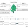 More science worksheets math worksheets. Https Encrypted Tbn0 Gstatic Com Images Q Tbn And9gctbszbdetfnlmivipn Dfhw854mcmz92qdn9cincukeyocjehoa Usqp Cau