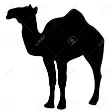 Uclipart provides free download of camel clipart for your web sites, project, art design or presentations. Black And White Vector Silhouette Of A Camel Royalty Free Cliparts Vectors And Stock Illustration Image 86382820