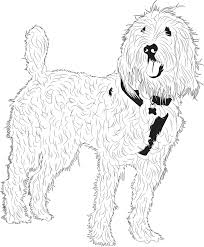 We did not find results for: Tekening Honden