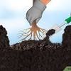 You often see landscaping companies busily putting in trees during spring and fall, which may lead you to. 1