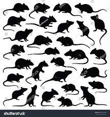 Rat And Mouse Collection Vector Silhouette Image Vector Mouse Silhouette Rat Silhouette Free Vector Graphics
