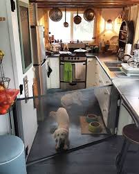 Dogs In A Tiny House This Is How We Manage Our Pups In Such A Small Space With No Room For A Crate Tiny House Living Small Room Design Tiny House