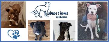 Aarcs is a grassroots animal welfare organization based in alberta. Almost Home Dog Rescue