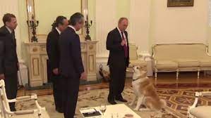 Putin cu cățelușul său alabai numit verni, 2017. Putin S Large Dog Yume Barks At Japanese Journalists Cnn