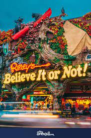 Your Guide To Ripley S In Gatlinburg Coupons Tennessee Vacation Ripleys Aquarium Gatlinburg Gatlinburg Tennessee Vacation