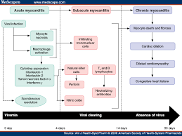 Treatment for myocarditis depends on the cause. Treatment Of Viral Myocarditis Caused By Coxsackievirus B