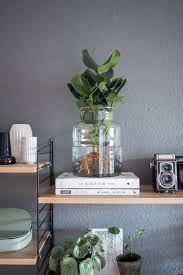 Water Plants Der Neue Pflanzentrend Pflegeleichte Zimmerpflanzen Wasserpflanzen Innen Zimmerpflanzen