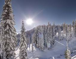 Cory Poole Photography