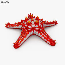 Pin On Animal 3d Models