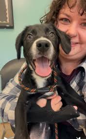 Mildred (Millie) Rae will be coming to join our family this weekend! Martha  Mae is going to looooove her sister.