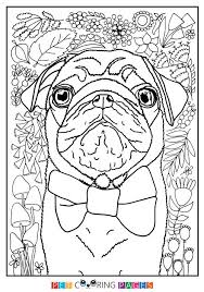 Color online with this game to color animals coloring pages and you will be able to share and to create copy the code we give you below and paste it on your web to publish it. Pug Coloring Page Dog Coloring Book Coloring Pages Colouring Printables