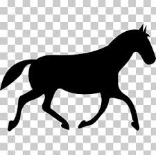 Mustang horse drawing at paintingvalleycom explore. How To Draw A Mustang Horse Png Images How To Draw A Mustang Horse Clipart Free Download