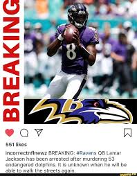 Breaking 551 Likes Incorrectnflnewz Breaking Ravens Qb Lamar Jackson Has Been Arrested After Murdering 53 Endangered Dolphins It Is Unknown When He Will Be Able To Walk The Streets Again Ifunny