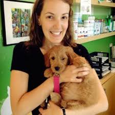 Find pet wellness coverage plans by nationwide. Your Pet S Wellness Updated Covid 19 Hours Services 26 Photos 117 Reviews Veterinarians 2319 N Damen Av Bucktown Chicago Il Phone Number Yelp